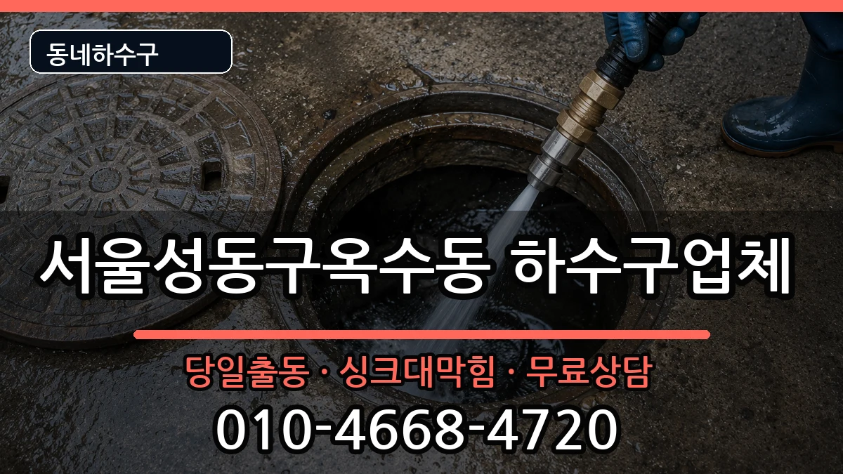 서울성동구옥수동 하수구막힘 서울성동구옥수동 하수구막힘 증상 처리 안내 이미지 3