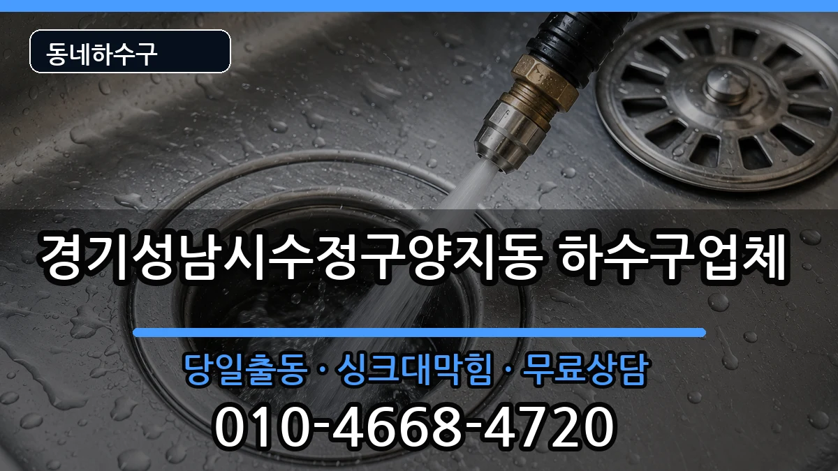 경기성남시수정구양지동 하수구막힘 경기성남시수정구양지동 하수구막힘 증상 처리 안내 이미지 1