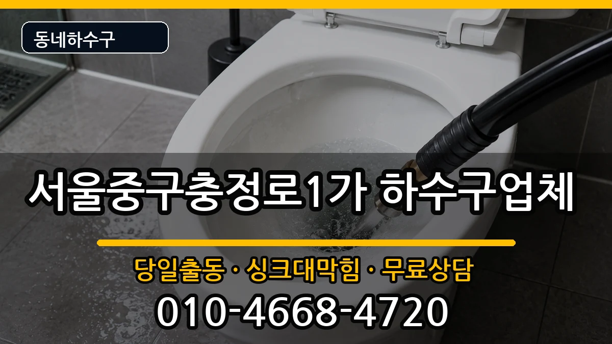 서울중구충정로1가 하수구막힘 증상 처리 안내 이미지 2