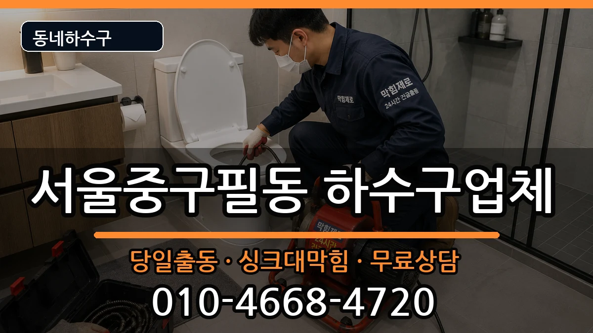 서울중구필동  하수구막힘 사례형