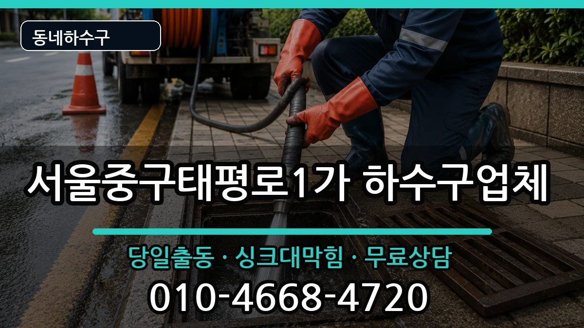 서울중구태평로1가 하수구막힘 서울중구태평로1가 하수구막힘 증상 처리 안내 이미지 2