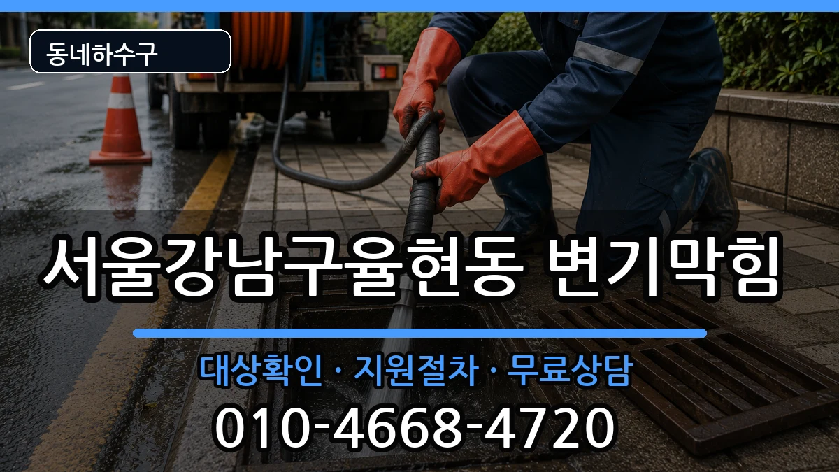 서울강남구율현동 변기막힘 증상 처리 안내 이미지 1