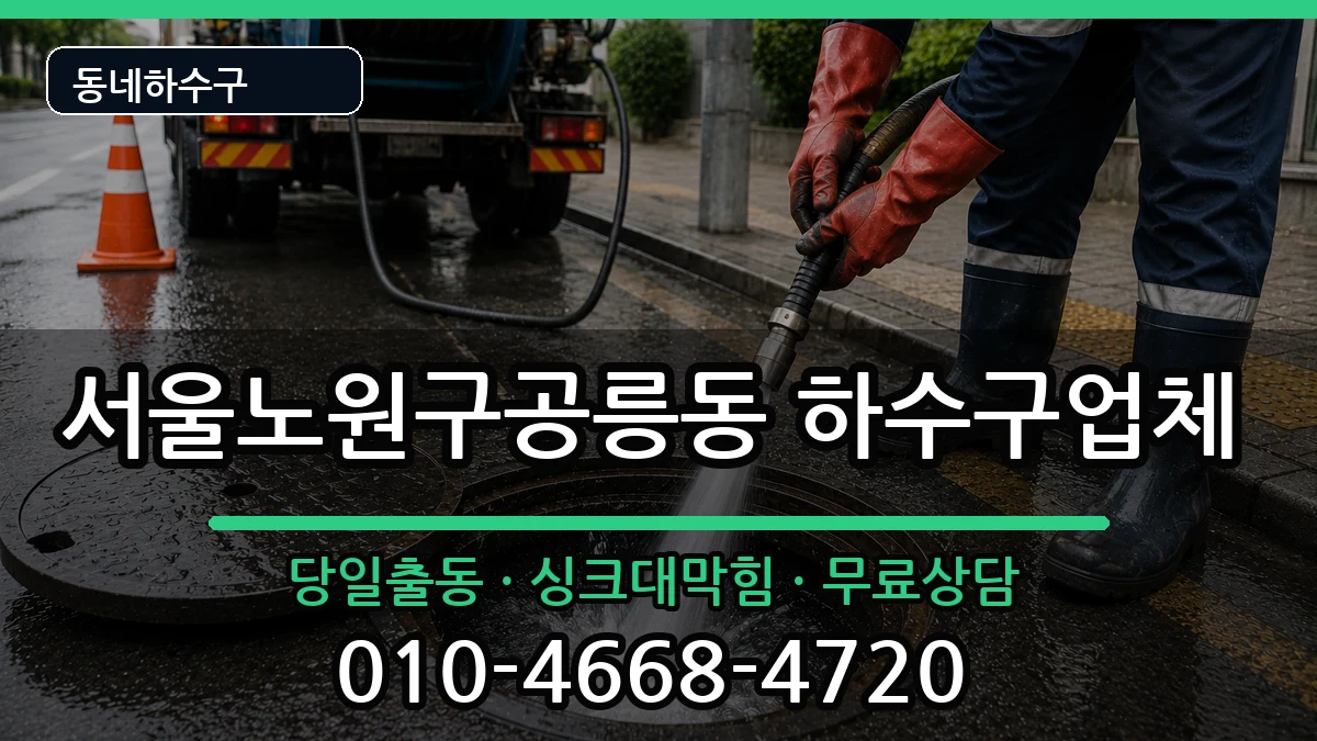 서울노원구공릉동 하수구막힘 증상 처리 안내 이미지 2