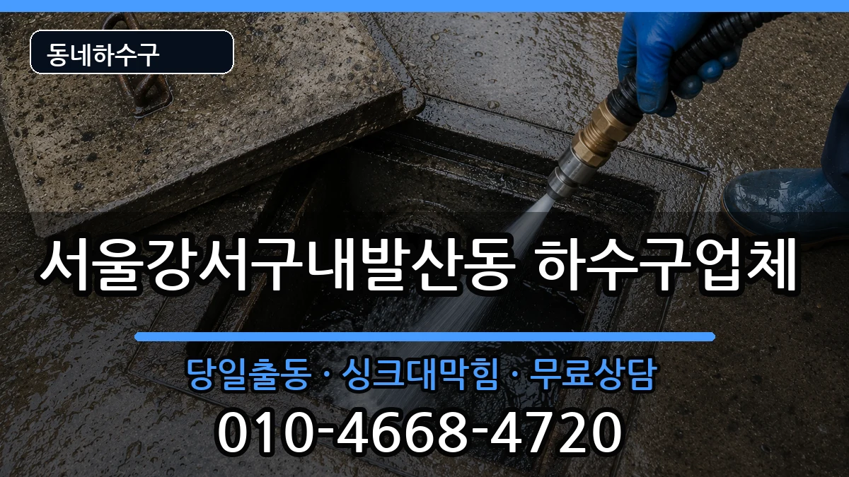 서울강서구내발산동 하수구막힘 증상 처리 안내 이미지 3