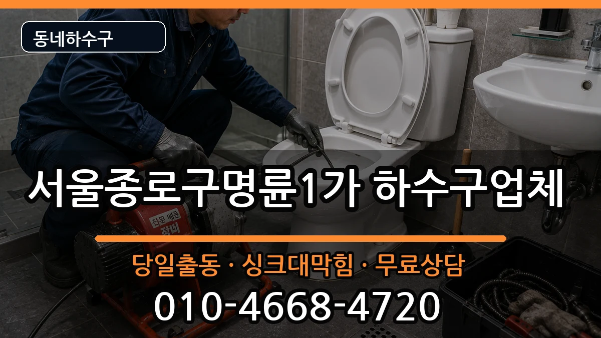 서울종로구명륜1가 하수구막힘 증상 처리 안내 이미지 1
