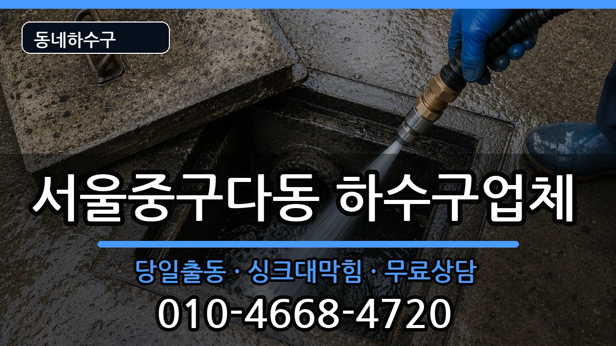 서울중구다동 하수구막힘 증상 처리 안내 이미지 1
