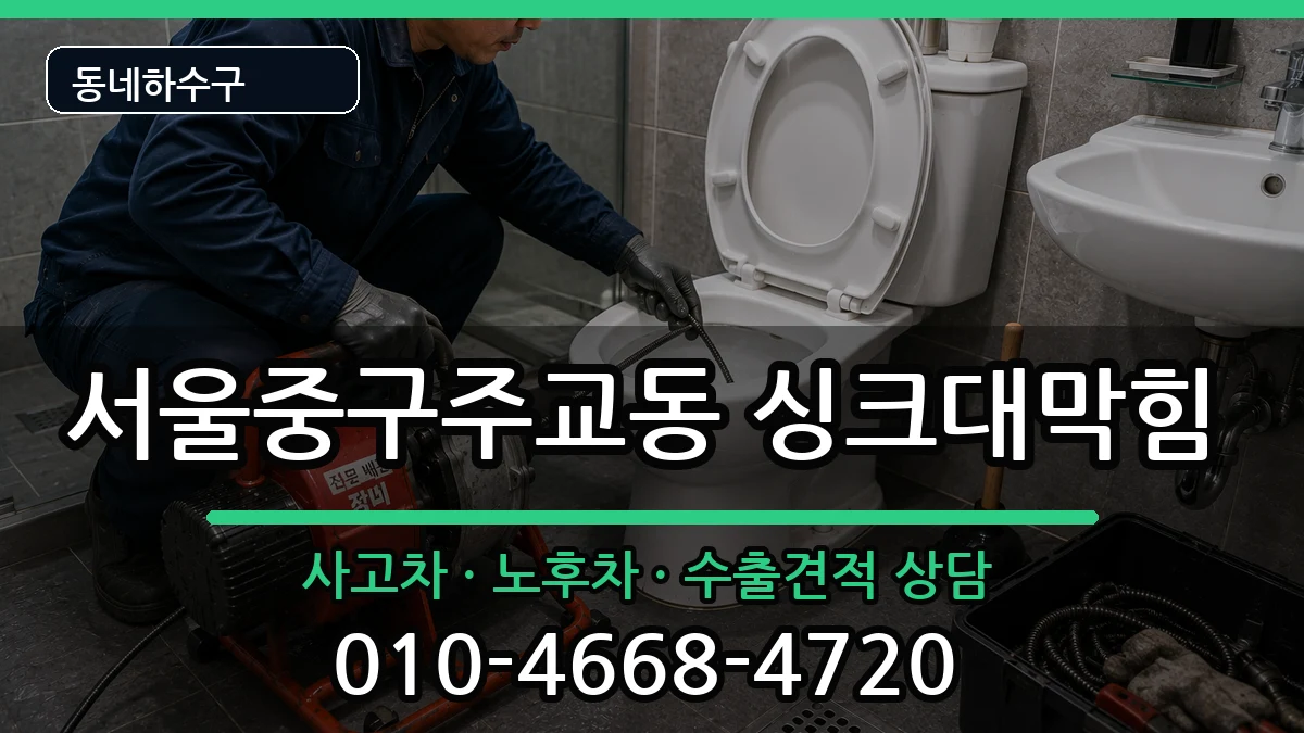 서울중구주교동 싱크대막힘 증상 처리 안내 이미지 1