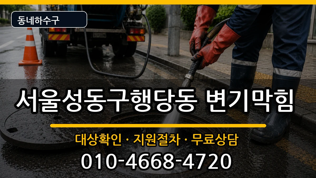 서울성동구행당동 변기막힘 증상 처리 안내 이미지 2