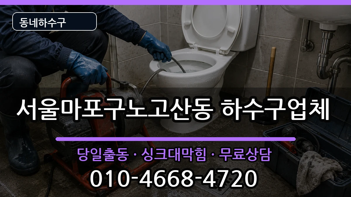 서울마포구노고산동 하수구막힘 증상 처리 안내 이미지 3
