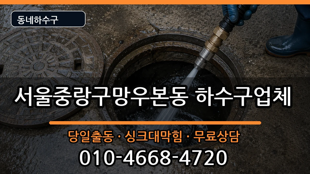 서울중랑구망우본동 하수구막힘 서울중랑구망우본동 하수구막힘 증상 처리 안내 이미지 1