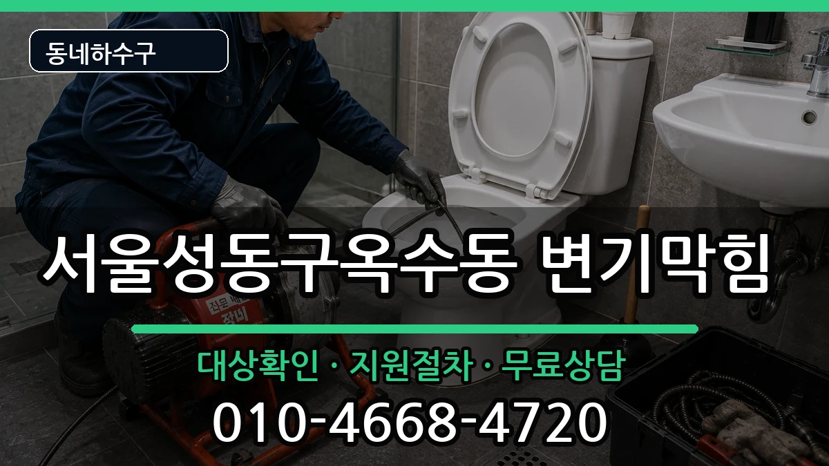 서울성동구옥수동  변기막힘 사례형