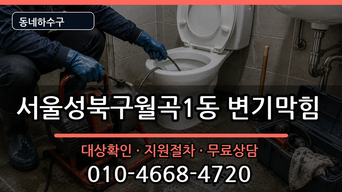 서울성북구월곡1동 변기막힘 서울성북구월곡1동 변기막힘 증상 처리 안내 이미지 2