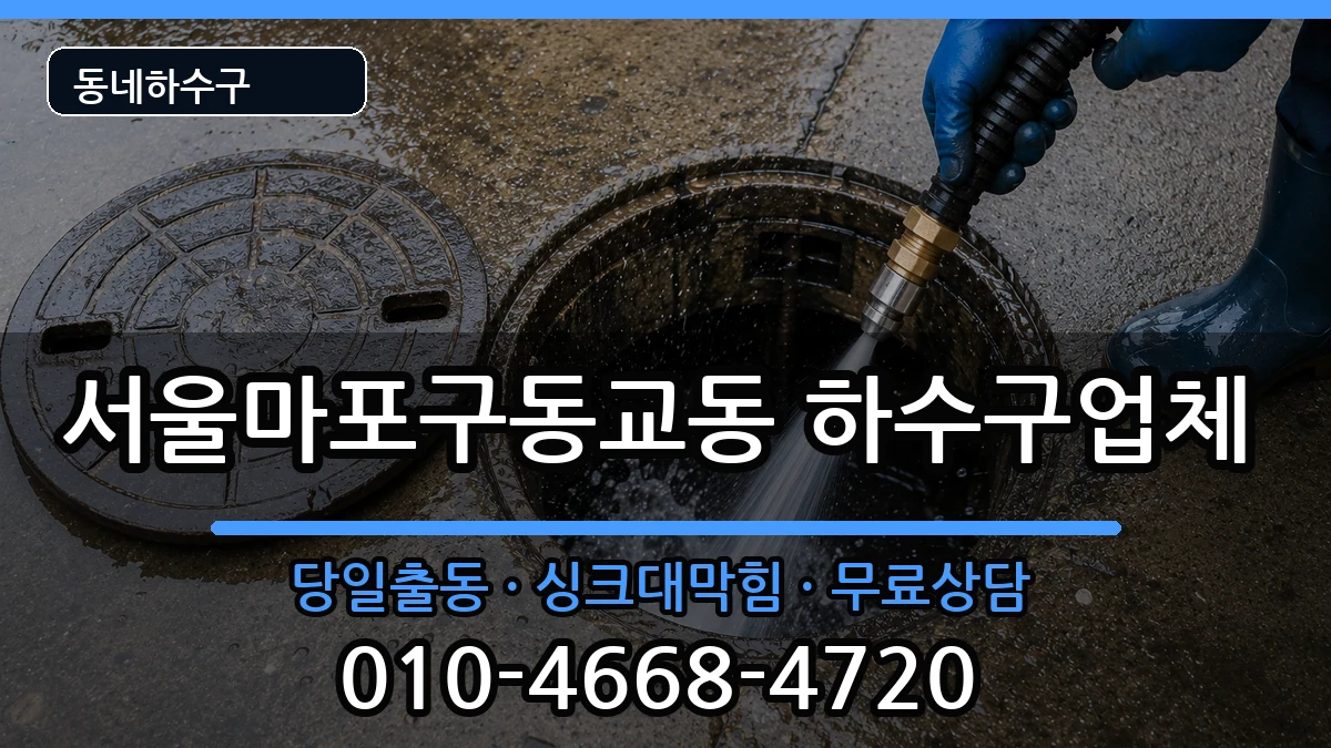 서울마포구동교동 하수구막힘 서울마포구동교동 하수구막힘 증상 처리 안내 이미지 1