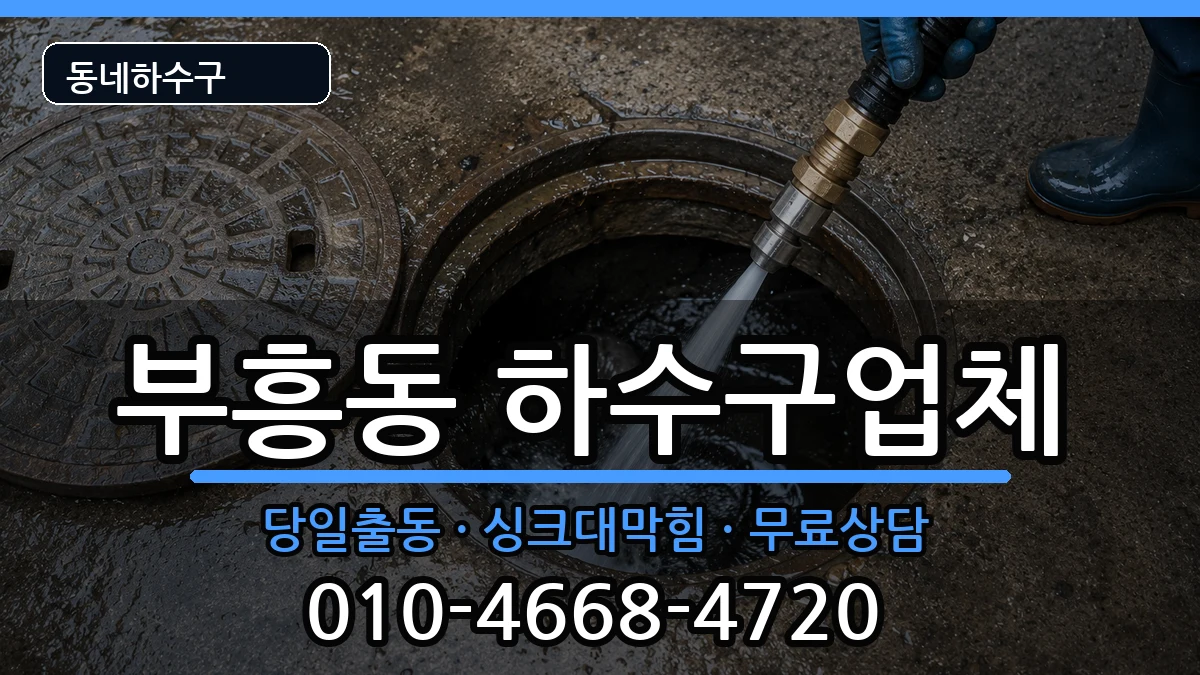 경기안양시동안구부흥동 하수구막힘 경기안양시동안구부흥동 하수구막힘 증상 처리 안내 이미지 2