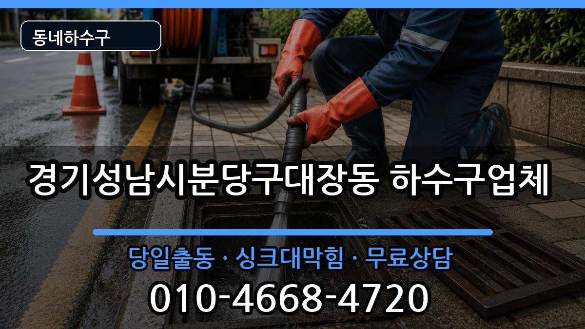경기성남시분당구대장동  하수구막힘 질문형