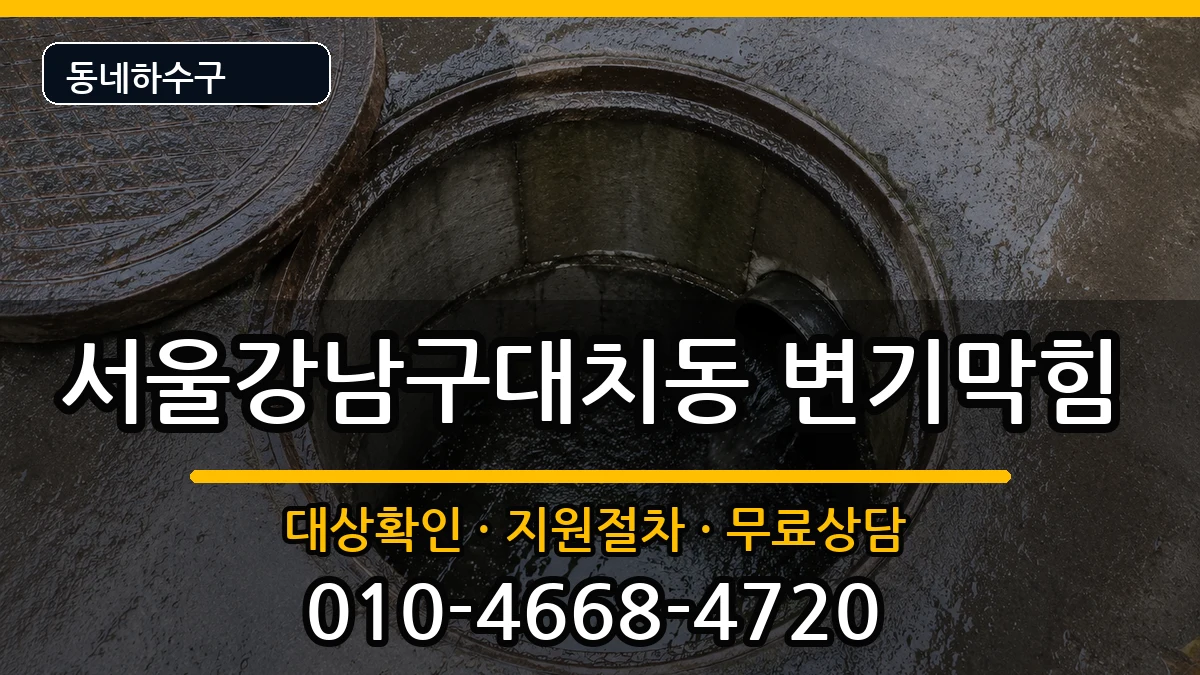 서울강남구대치동 변기막힘 증상 처리 안내 이미지 2