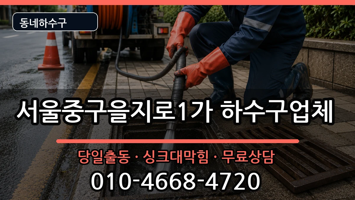 서울중구을지로1가 하수구막힘 증상 처리 안내 이미지 3
