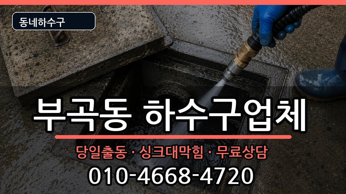 경기안산시상록구부곡동 하수구막힘 증상 처리 안내 이미지 3