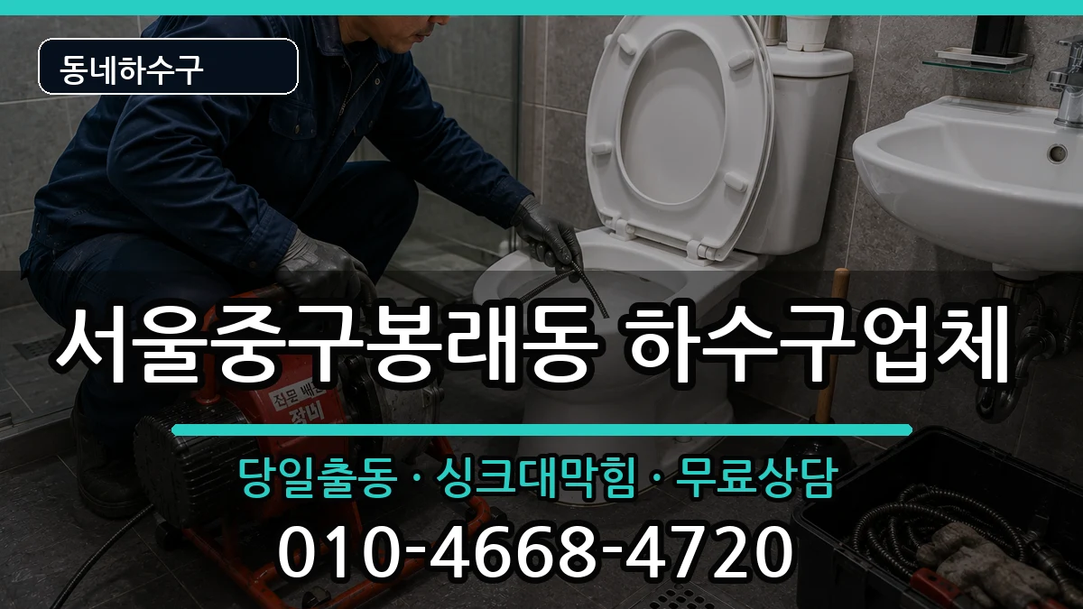 서울중구봉래동 하수구막힘 서울중구봉래동 하수구막힘 증상 처리 안내 이미지 3