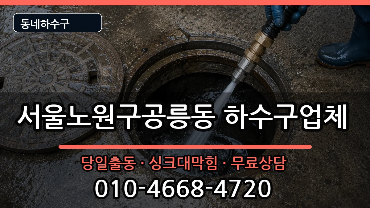 서울노원구공릉동 하수구막힘 증상 처리 안내 이미지 1