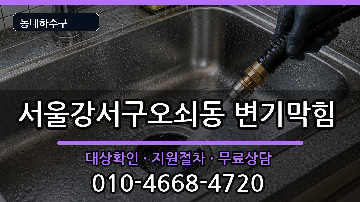 서울강서구오쇠동 변기막힘 서울강서구오쇠동 변기막힘 증상 처리 안내 이미지 1