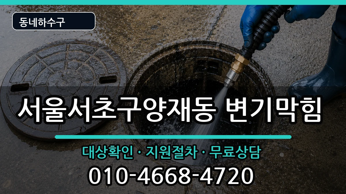 서울서초구양재동 변기막힘 증상 처리 안내 이미지 3