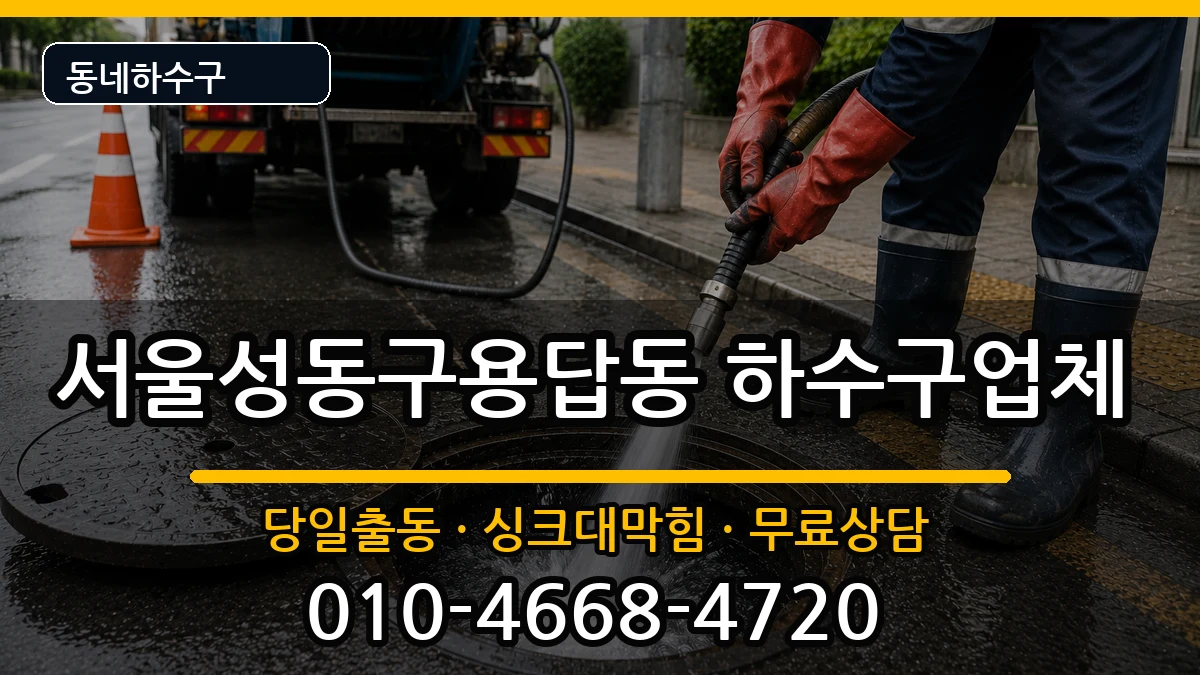 서울성동구용답동 하수구막힘 서울성동구용답동 하수구막힘 증상 처리 안내 이미지 2