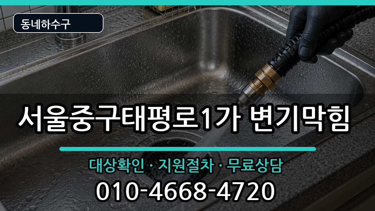서울중구태평로1가 변기막힘 증상 처리 안내 이미지 1