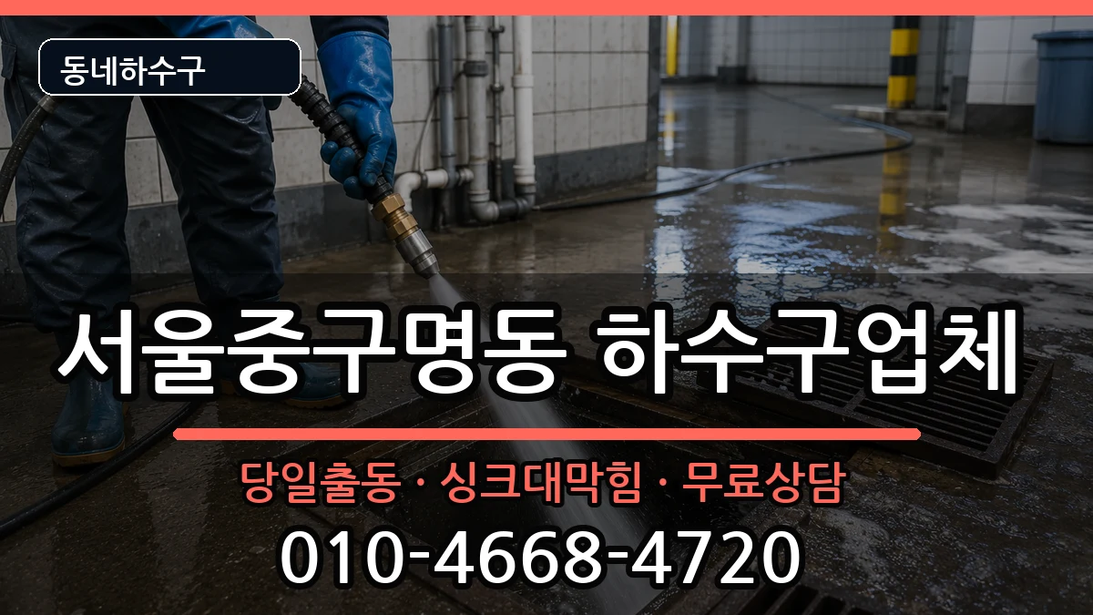 서울중구명동 하수구막힘 증상 처리 안내 이미지 3