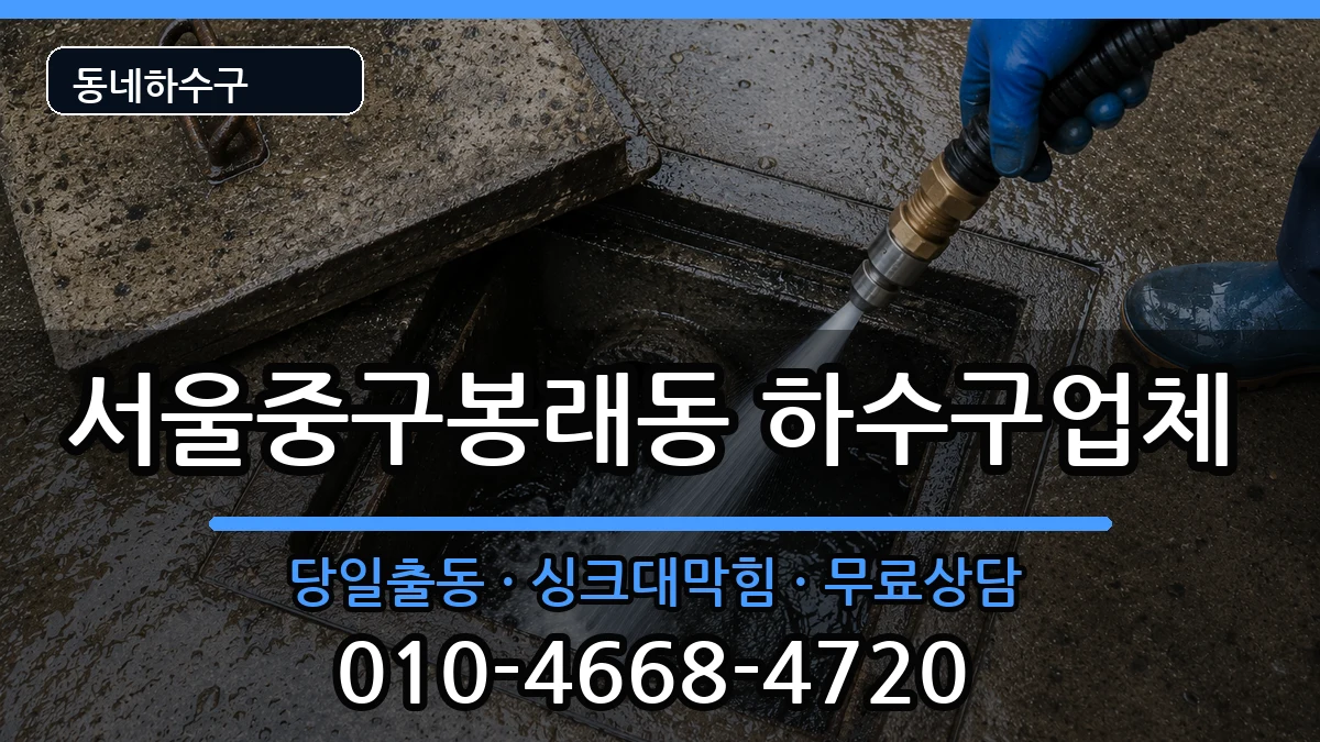 서울중구봉래동 하수구막힘 증상 처리 안내 이미지 1