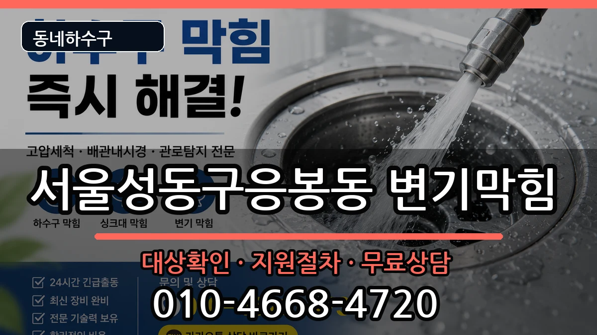 서울성동구응봉동 변기막힘 서울성동구응봉동 변기막힘 증상 처리 안내 이미지 3