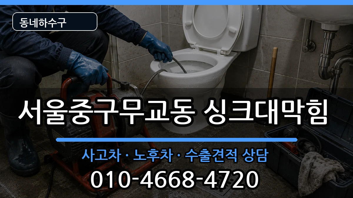 서울중구무교동 싱크대막힘 증상 처리 안내 이미지 2