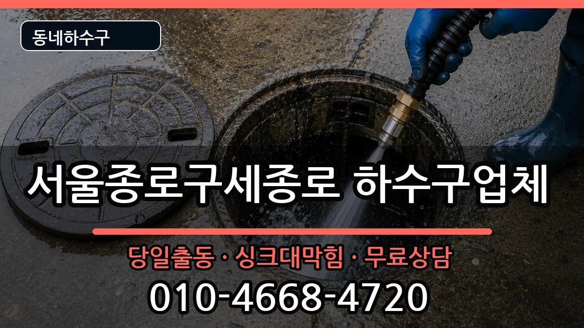 서울종로구세종로 하수구막힘 서울종로구세종로 하수구막힘 증상 처리 안내 이미지 2