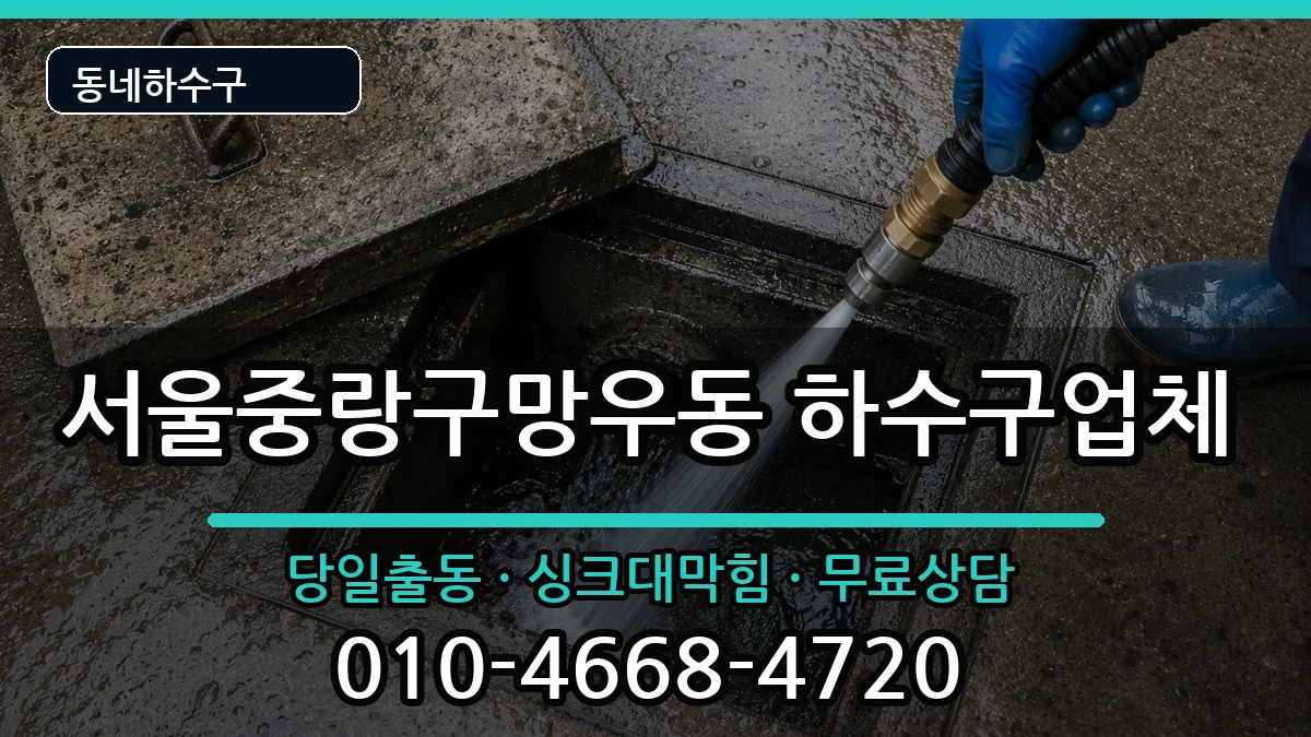 서울중랑구망우동 하수구막힘 서울중랑구망우동 하수구막힘 증상 처리 안내 이미지 3