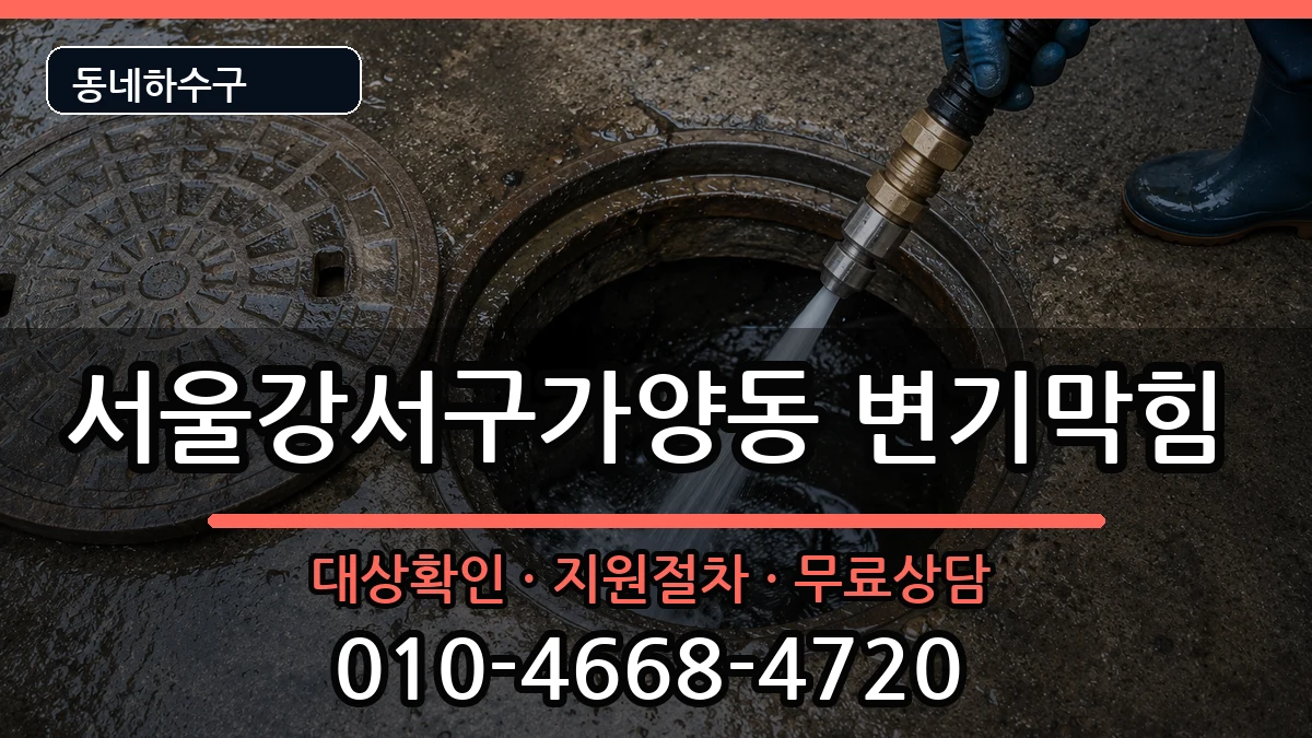 서울강서구가양동 변기막힘 증상 처리 안내 이미지 3