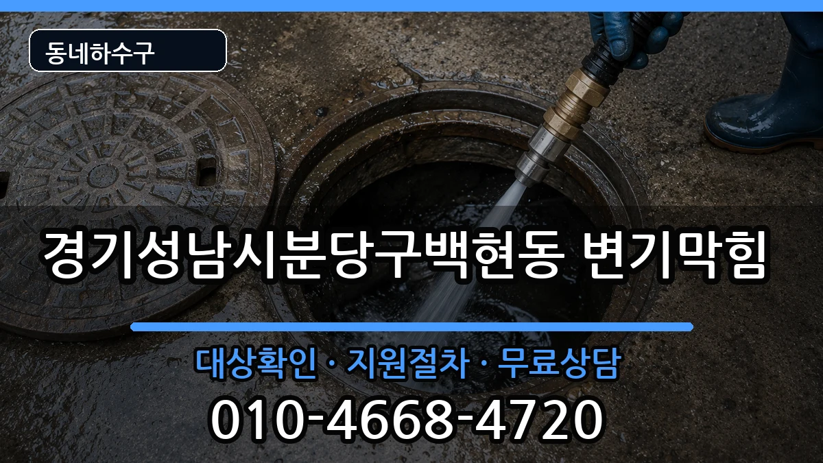 경기성남시분당구백현동 변기막힘 증상 처리 안내 이미지 3