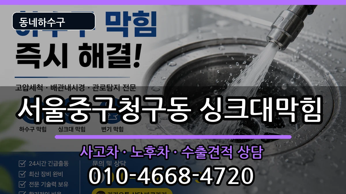 서울중구청구동 싱크대막힘 증상 처리 안내 이미지 2