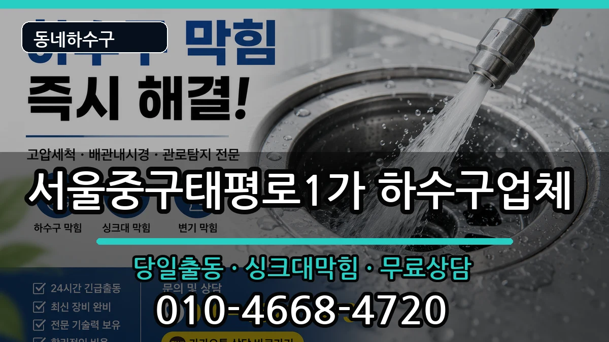 서울중구태평로1가  하수구막힘 지역형