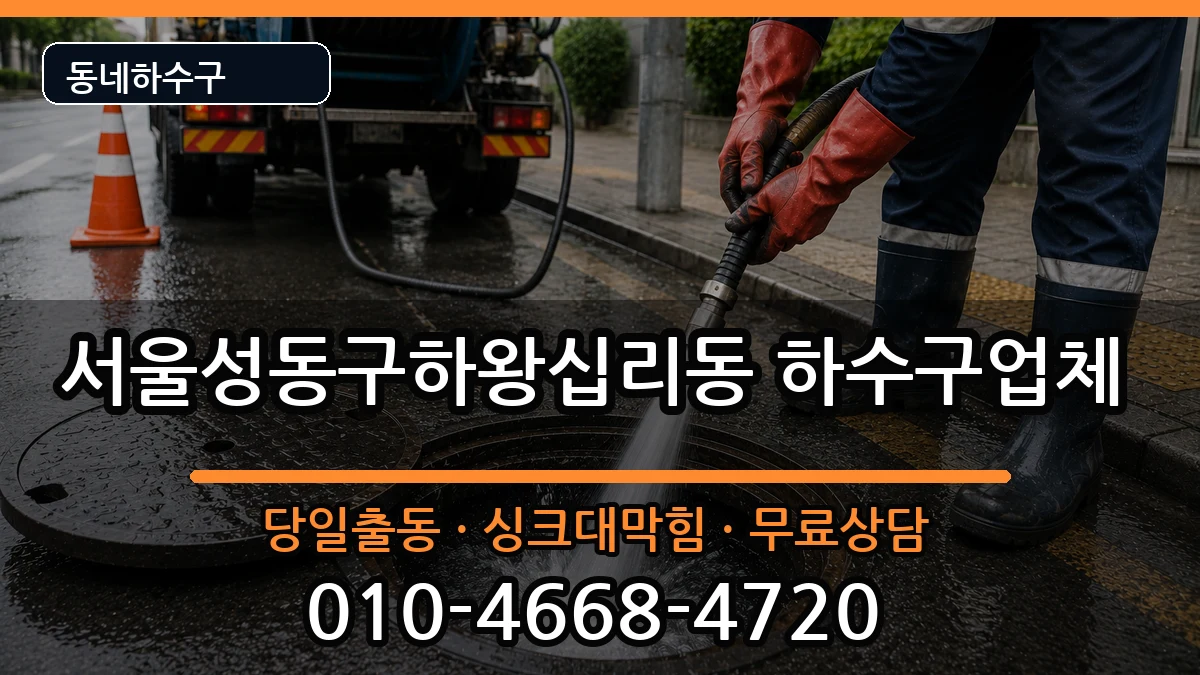 서울성동구하왕십리동 하수구막힘 증상 처리 안내 이미지 1