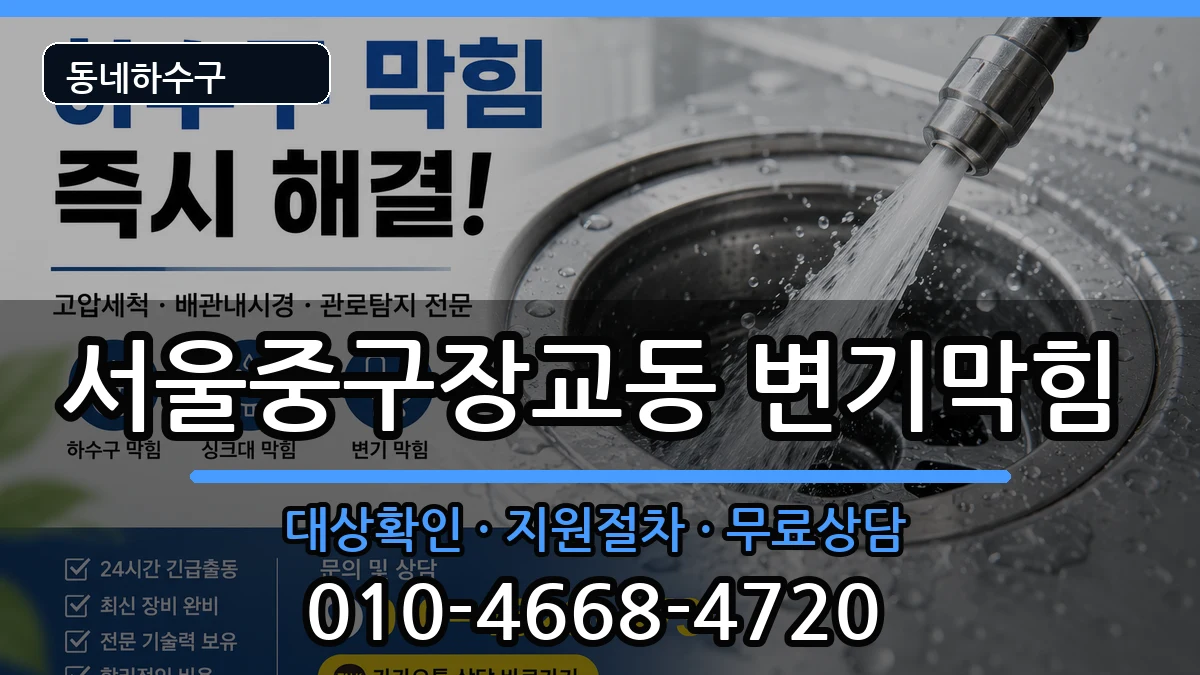 서울중구장교동 변기막힘 서울중구장교동 변기막힘 증상 처리 안내 이미지 2
