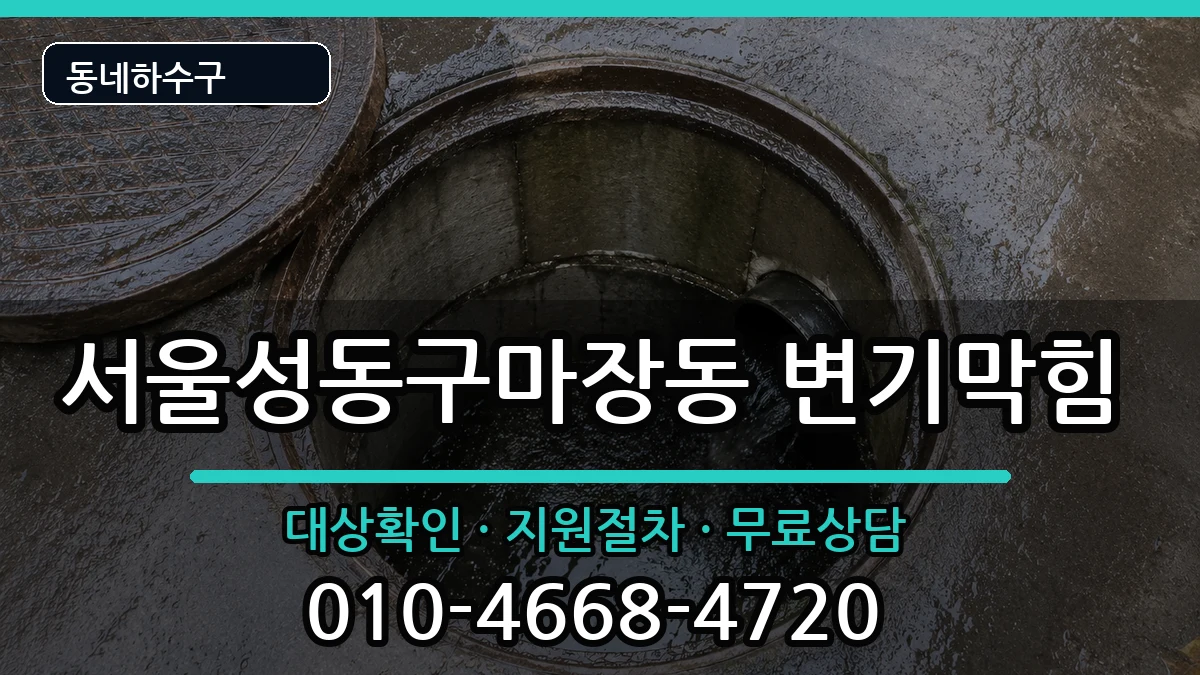 서울성동구마장동 변기막힘 서울성동구마장동 변기막힘 증상 처리 안내 이미지 2