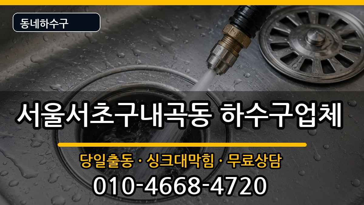 서울서초구내곡동 하수구막힘 증상 처리 안내 이미지 3