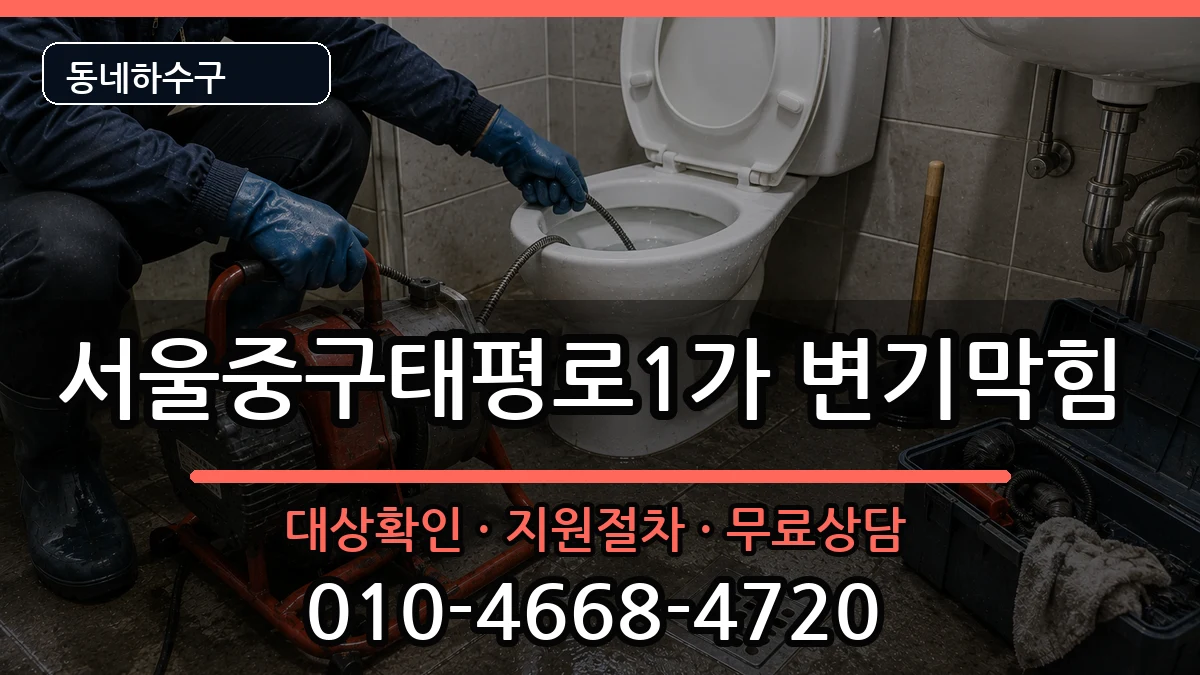 서울중구태평로1가 변기막힘 증상 처리 안내 이미지 2