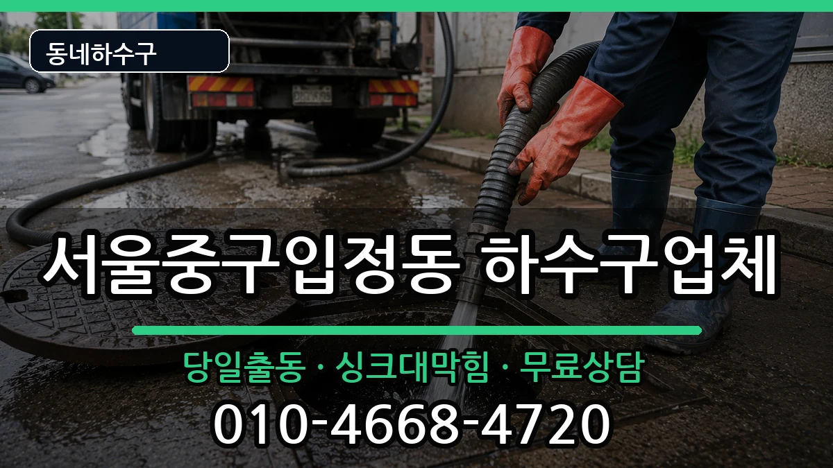 서울중구입정동 하수구막힘 서울중구입정동 하수구막힘 증상 처리 안내 이미지 1