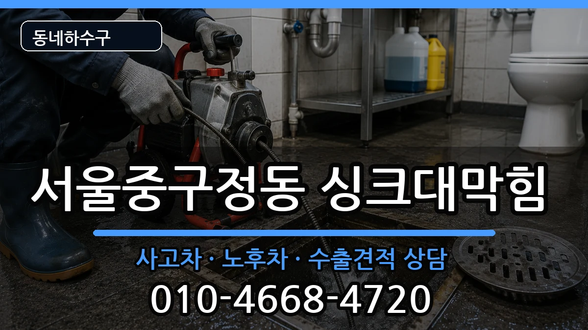 서울중구정동 싱크대막힘 서울중구정동 싱크대막힘 증상 처리 안내 이미지 1
