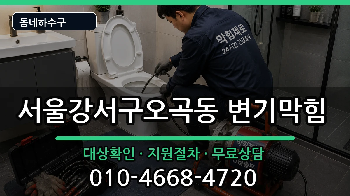 서울강서구오곡동 변기막힘 서울강서구오곡동 변기막힘 증상 처리 안내 이미지 1