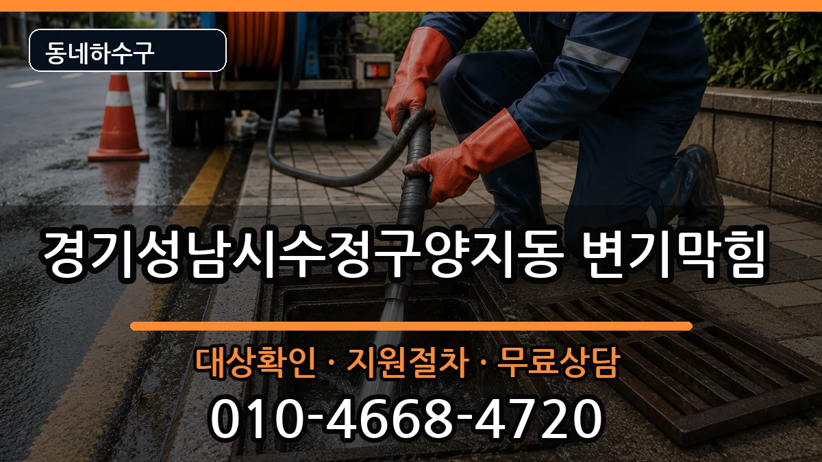 경기성남시수정구양지동 변기막힘 증상 처리 안내 이미지 1