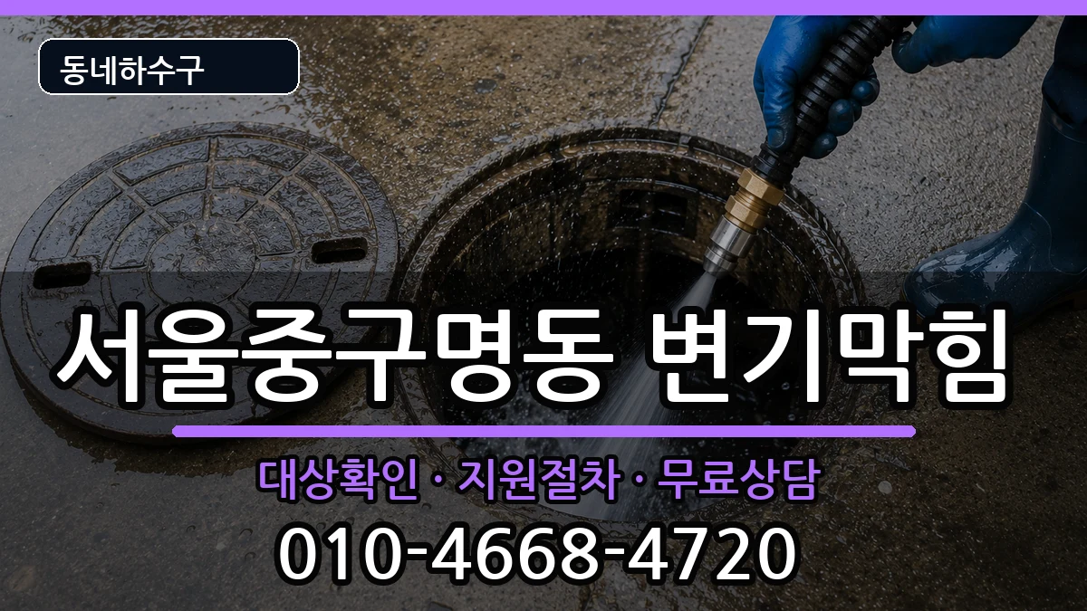 서울중구명동 변기막힘 증상 처리 안내 이미지 3