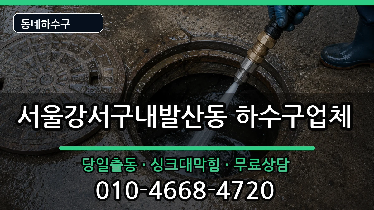 서울강서구내발산동 하수구막힘 증상 처리 안내 이미지 3