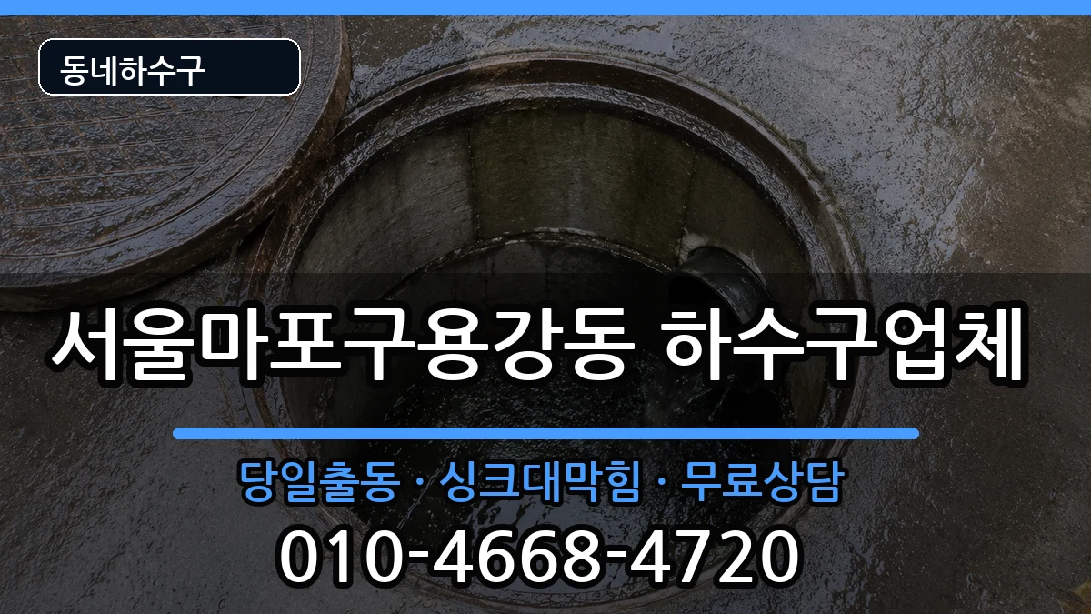 서울마포구용강동 하수구막힘 서울마포구용강동 하수구막힘 증상 처리 안내 이미지 3